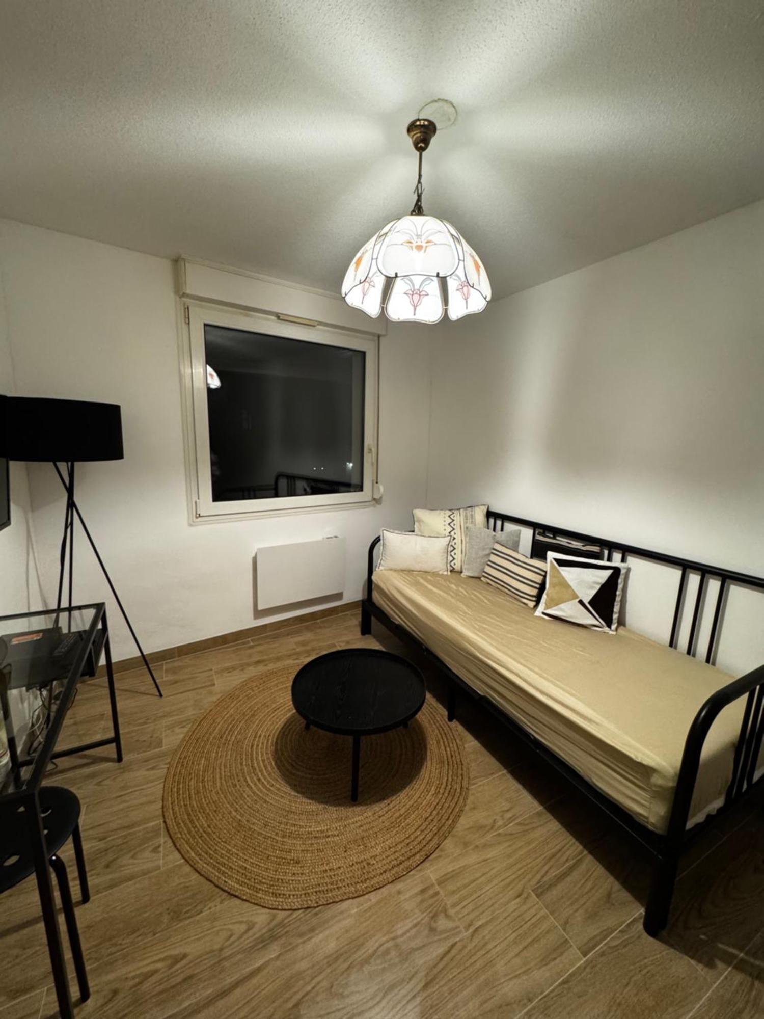 Le Sarsour Appartement Strasbourg Centre Exterior photo